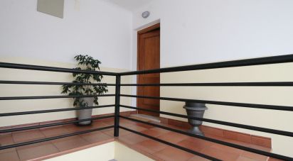 Appartement T2 à Borba (Matriz) de 69 m²
