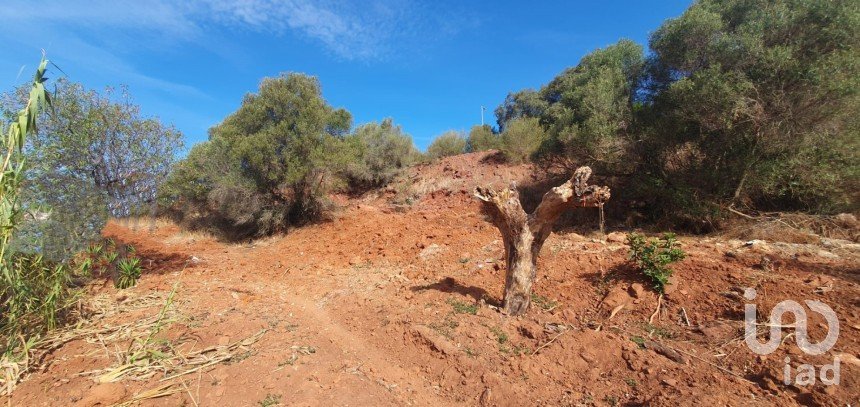 Terrain à São Bartolomeu de Messines de 582 m²