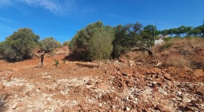 Terrain à São Bartolomeu de Messines de 582 m²