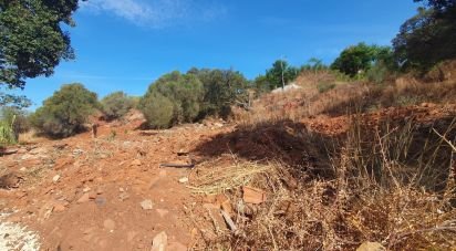 Terrain à São Bartolomeu de Messines de 582 m²