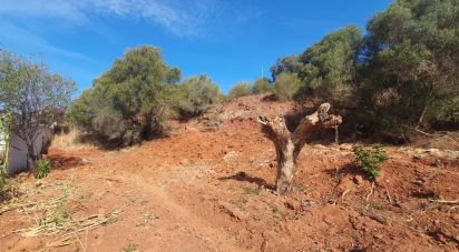Land in São Bartolomeu de Messines of 582 m²