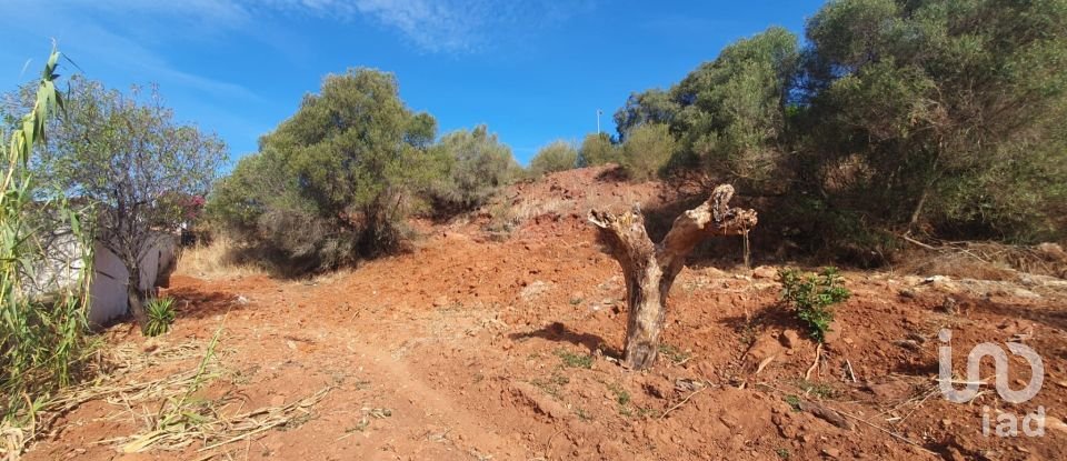 Terrain à São Bartolomeu de Messines de 582 m²