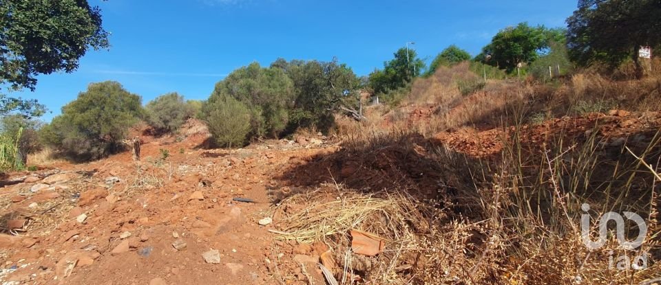 Terrain à São Bartolomeu de Messines de 582 m²