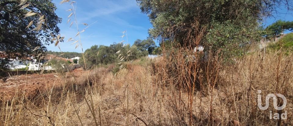 Terrain à São Bartolomeu de Messines de 582 m²