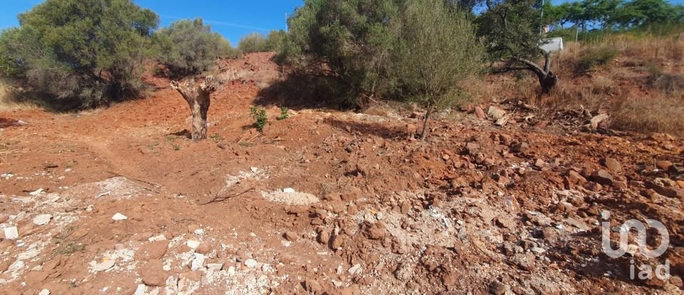 Terrain à São Bartolomeu de Messines de 582 m²
