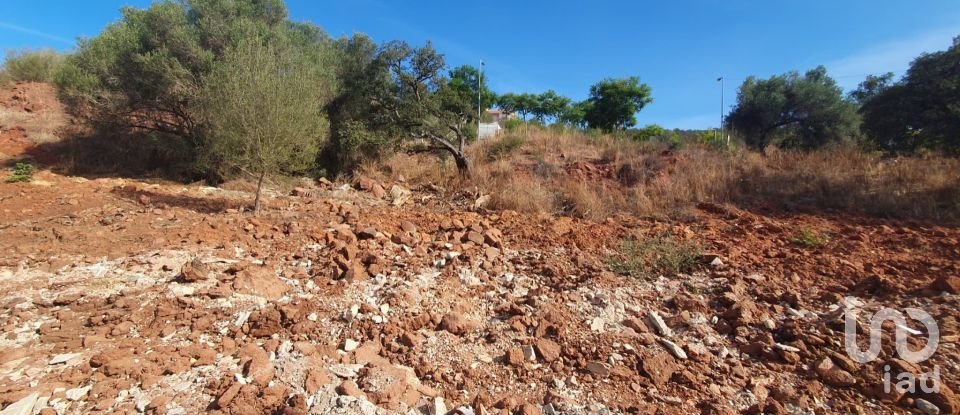 Terrain à São Bartolomeu de Messines de 582 m²
