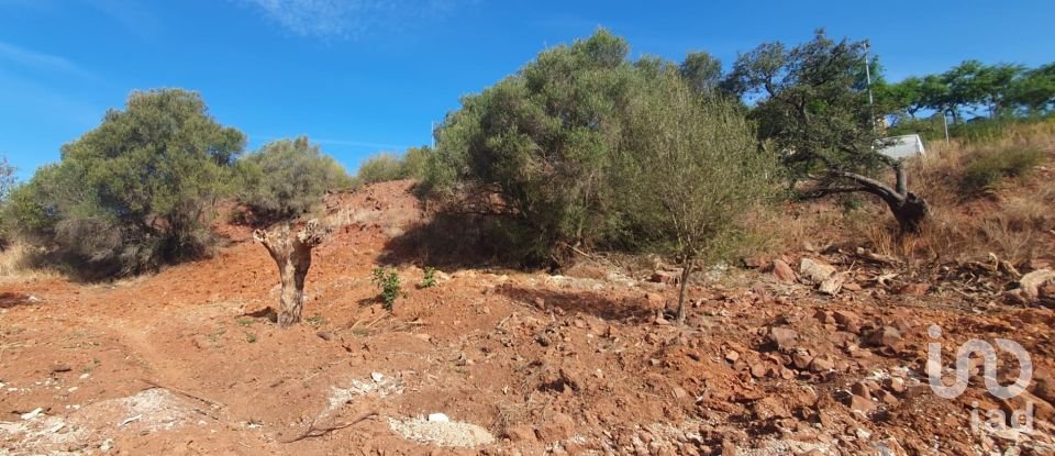 Terrain à São Bartolomeu de Messines de 582 m²