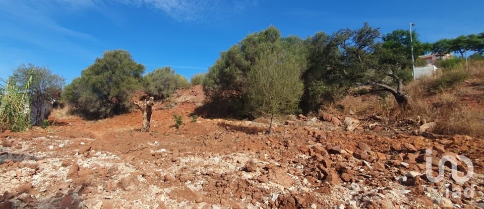 Terrain à São Bartolomeu de Messines de 582 m²