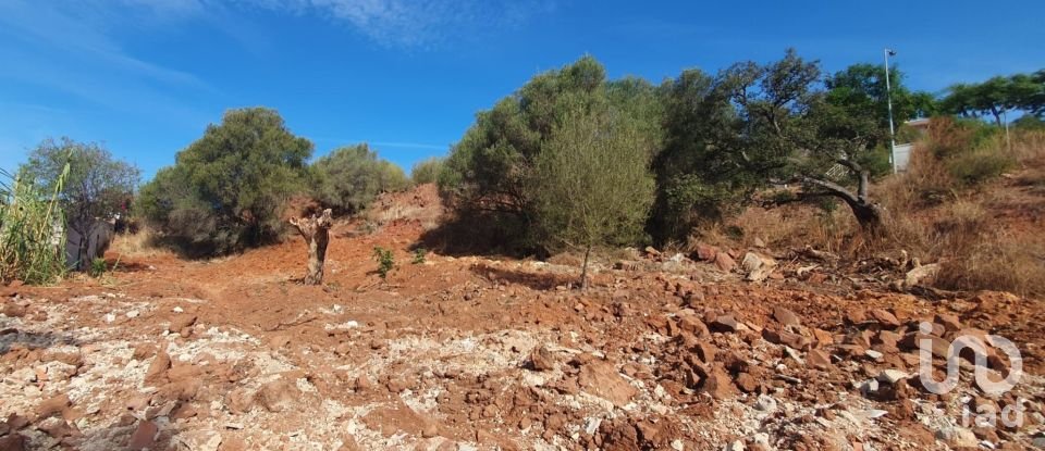 Terrain à São Bartolomeu de Messines de 582 m²