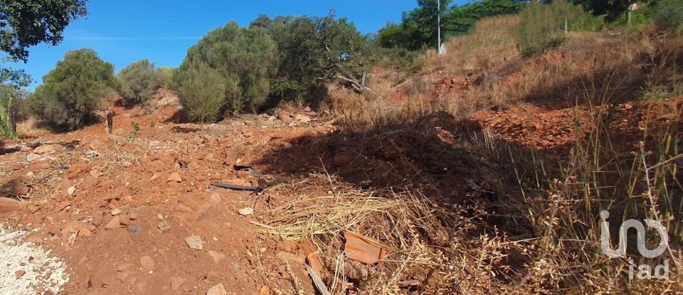 Terrain à São Bartolomeu de Messines de 582 m²