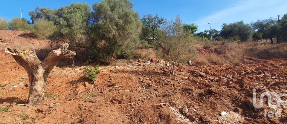 Terrain à São Bartolomeu de Messines de 582 m²