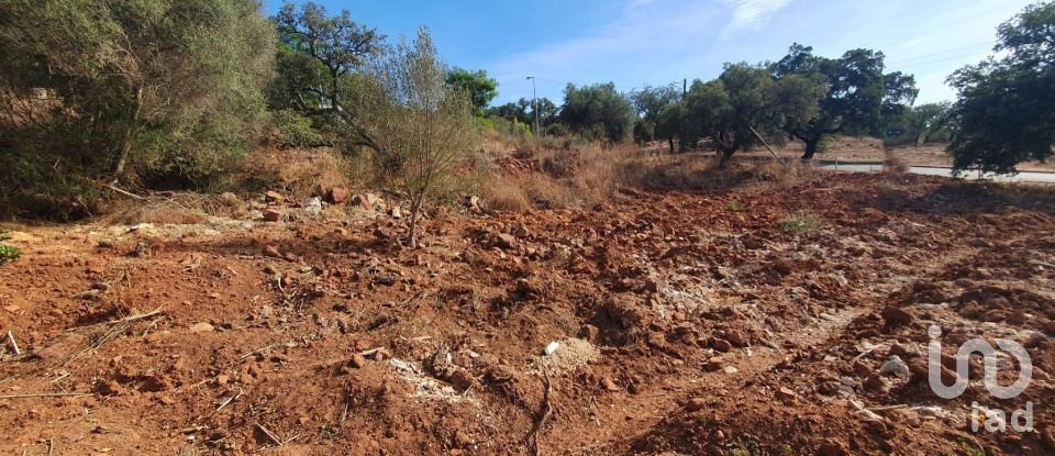 Terrain à São Bartolomeu de Messines de 582 m²