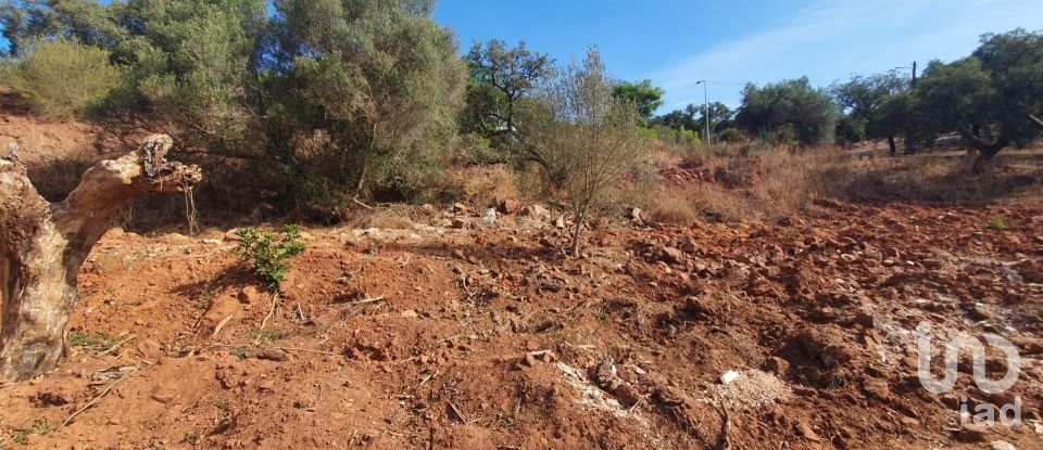 Terrain à São Bartolomeu de Messines de 582 m²