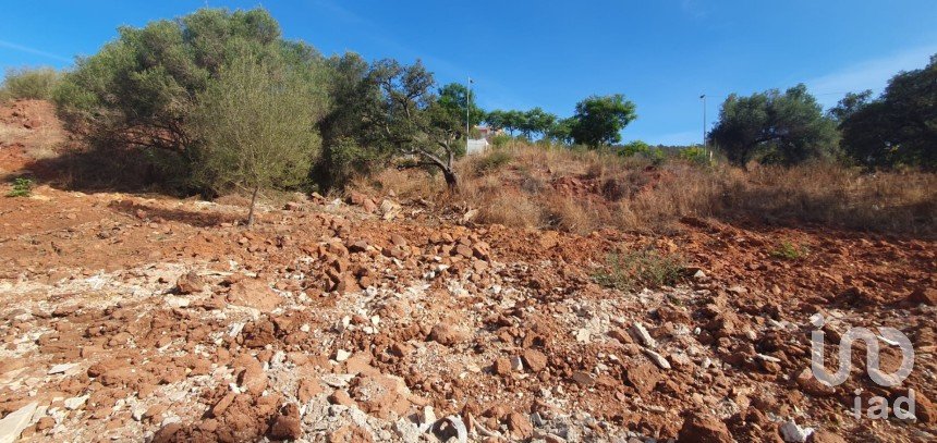 Terrain à São Bartolomeu de Messines de 552 m²