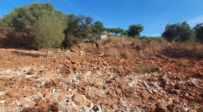 Terrain à São Bartolomeu de Messines de 552 m²