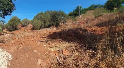 Land in São Bartolomeu de Messines of 552 m²