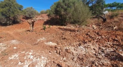 Terrain à São Bartolomeu de Messines de 572 m²