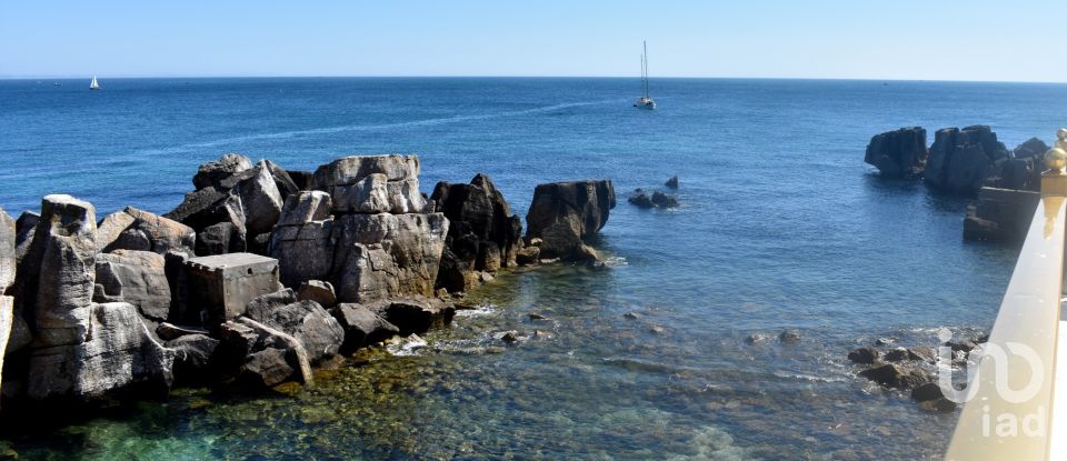 Restaurant gastronomique à Peniche de 696 m²