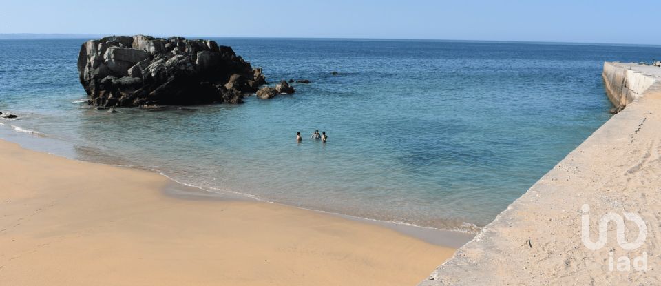 Restaurant gastronomique à Peniche de 696 m²
