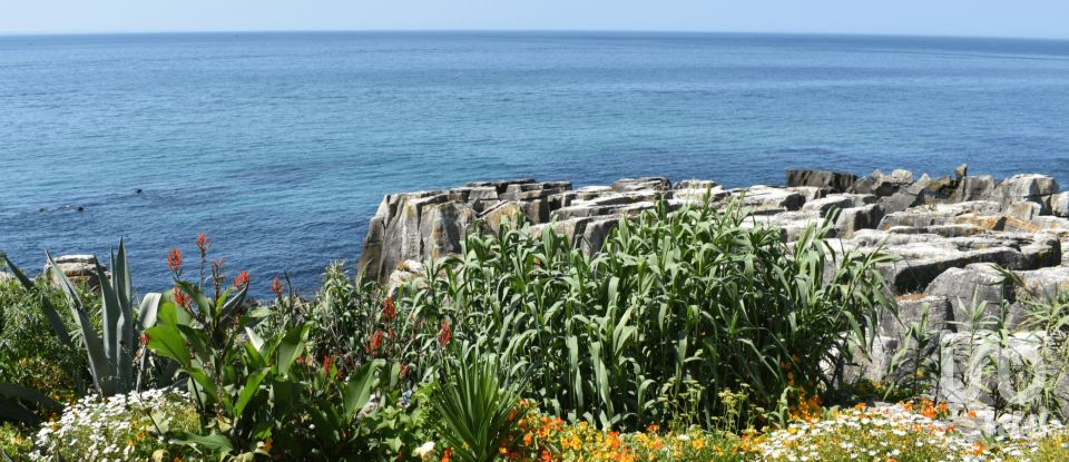Restaurant gastronomique à Peniche de 696 m²