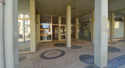 Shop / premises commercial in Coimbra (Sé Nova, Santa Cruz, Almedina e São Bartolomeu) of 101 m²