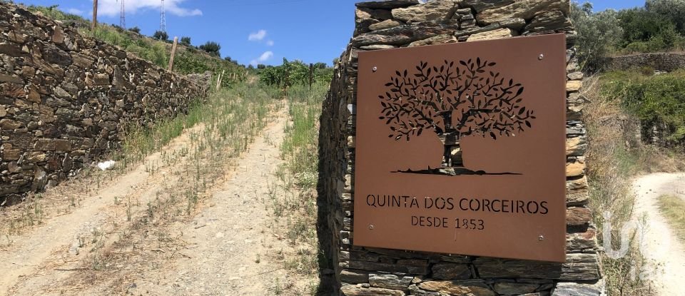 Maison rustique T4 à Peso da Régua e Godim de 343 m²