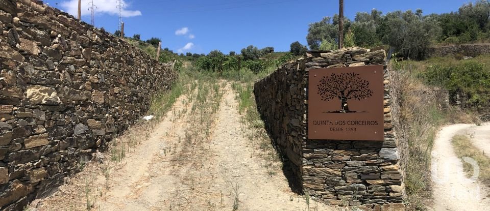 Maison rustique T4 à Peso da Régua e Godim de 343 m²