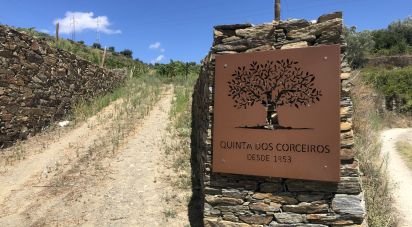 Maison rustique T4 à Peso da Régua e Godim de 343 m²