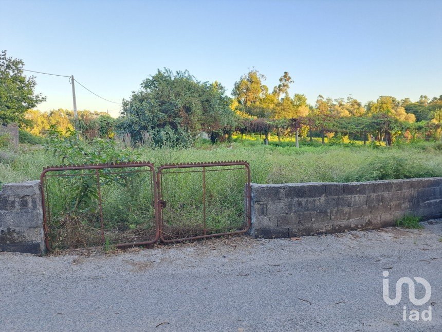 Terrain à Freiriz de 3 900 m²