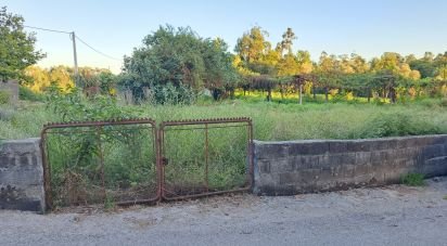 Terrain à Freiriz de 3 900 m²