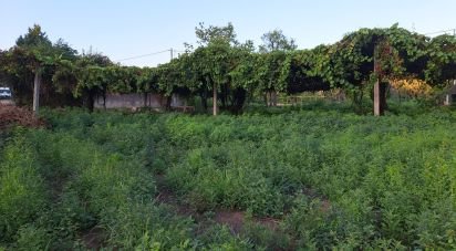 Terrain à Freiriz de 3 900 m²