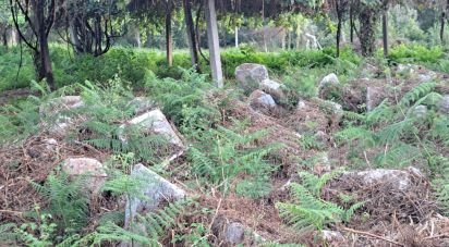 Terrain à Freiriz de 3 900 m²