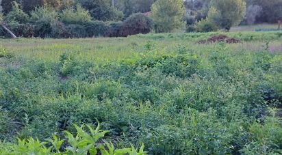 Terrain à Freiriz de 3 900 m²