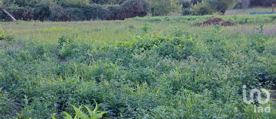 Terrain à Freiriz de 3 900 m²