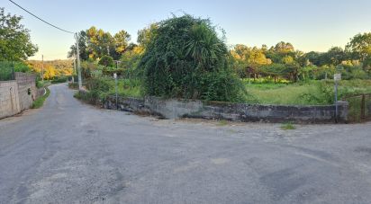 Terrain à Freiriz de 3 900 m²