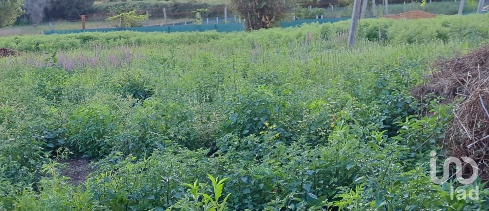 Terrain à Freiriz de 3 900 m²