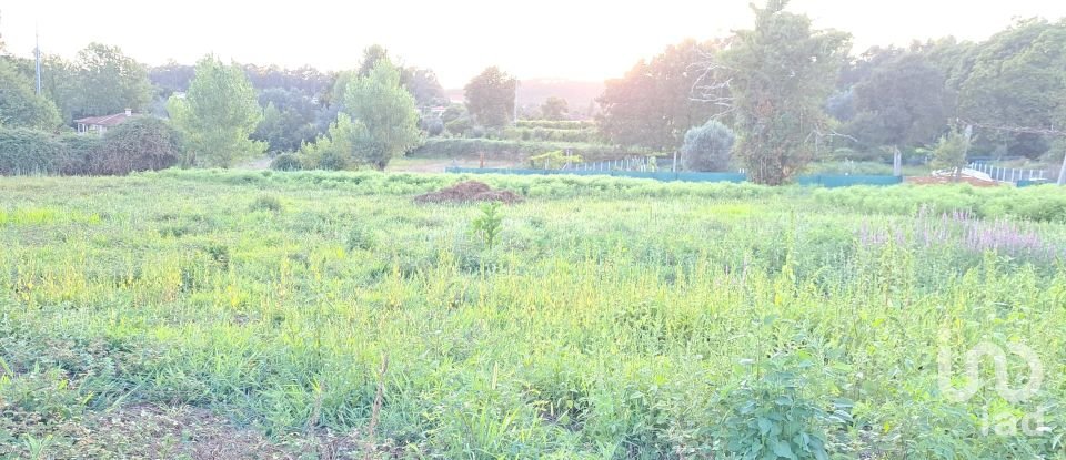 Terrain à Freiriz de 3 900 m²