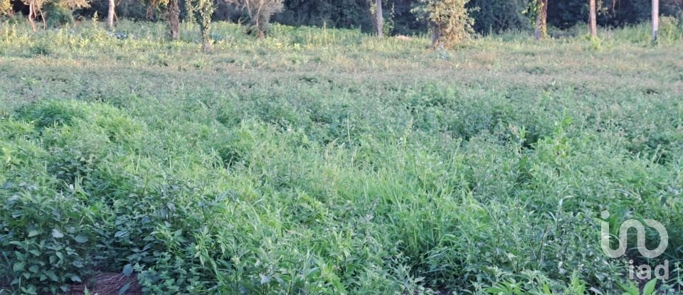 Terrain à Freiriz de 3 900 m²