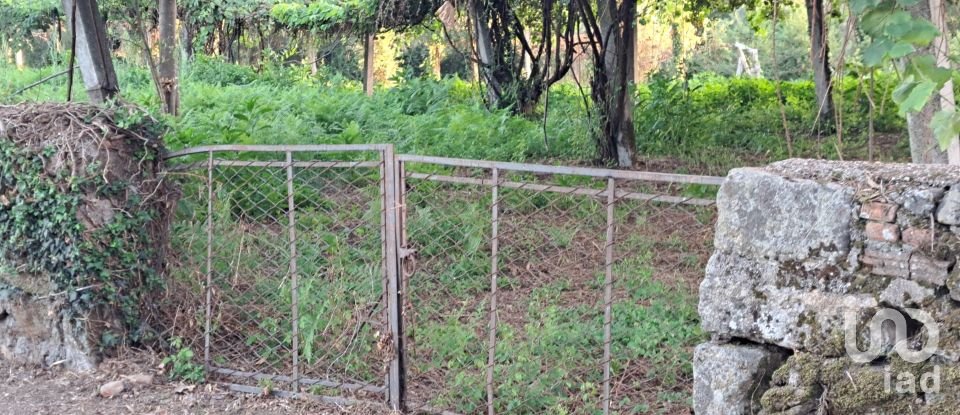 Terrain à Freiriz de 3 900 m²