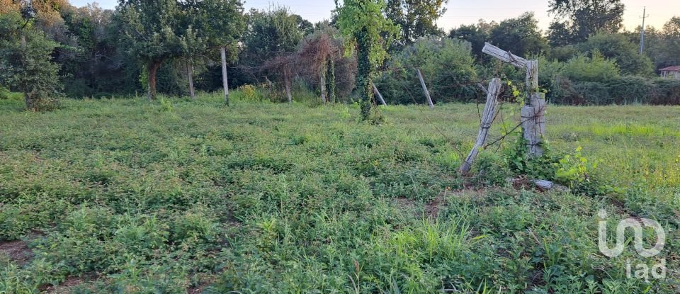 Terrain à Freiriz de 3 900 m²