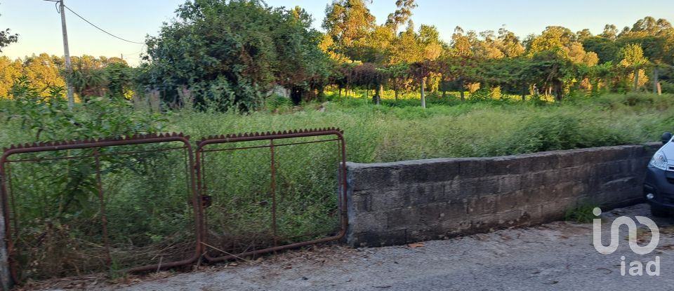 Terrain à Freiriz de 3 900 m²