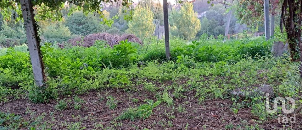 Terrain à Freiriz de 3 900 m²