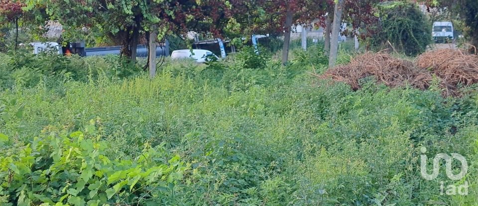 Terrain à Freiriz de 3 900 m²