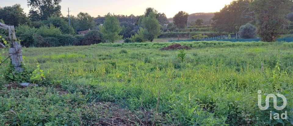 Terrain à Freiriz de 3 900 m²