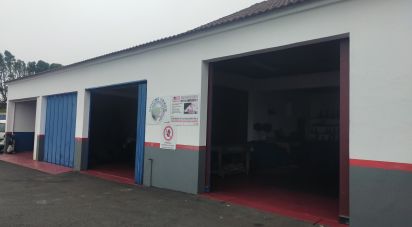 Shop / premises commercial in Piedade of 500 m²