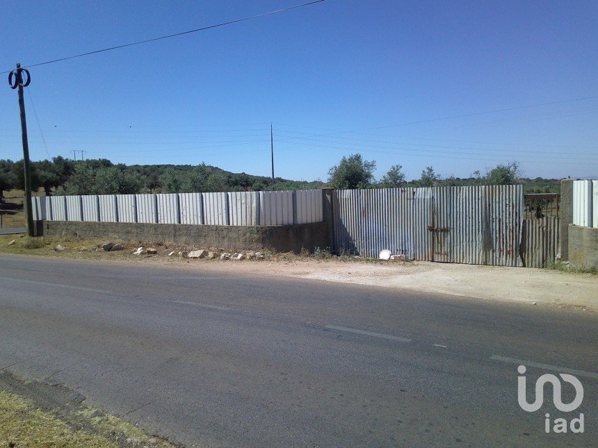 Land in Estremoz (Santa Maria e Santo André) of 5,000 m²