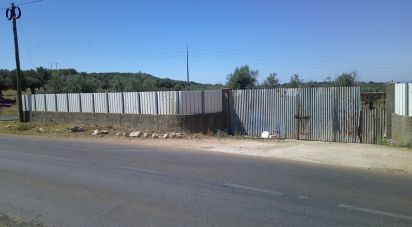Terrain à Estremoz (Santa Maria e Santo André) de 5 000 m²
