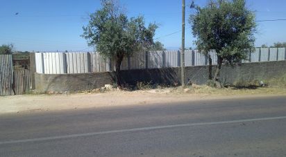 Terrain à Estremoz (Santa Maria e Santo André) de 5 000 m²