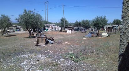 Terrain à Estremoz (Santa Maria e Santo André) de 5 000 m²