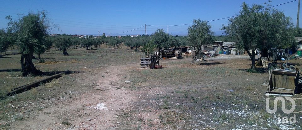 Land in Estremoz (Santa Maria e Santo André) of 5,000 m²